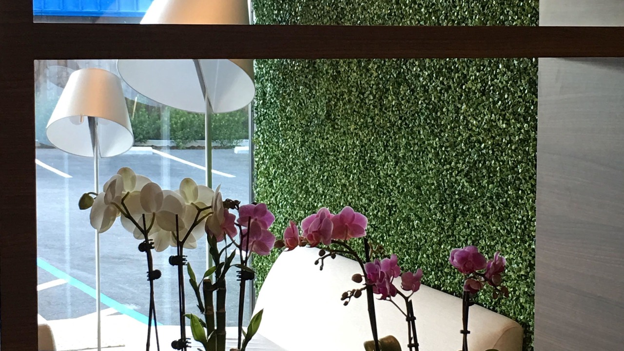 Photo of Others in Millbrae