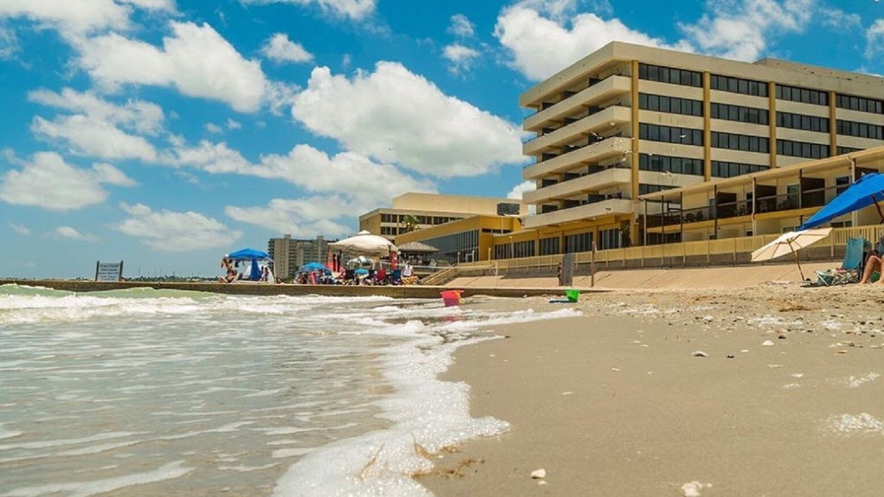 Photo of Others in Del Mar