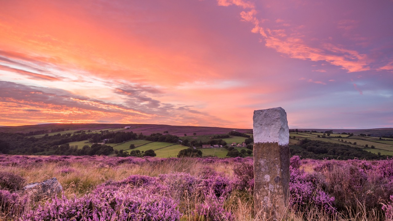 Photo of Others in Harrogate City Centre