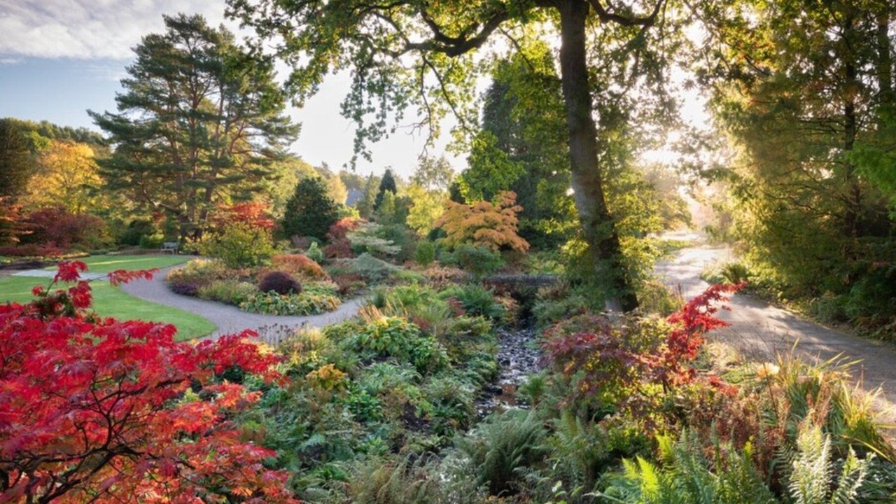 Photo of Others in Harrogate City Centre