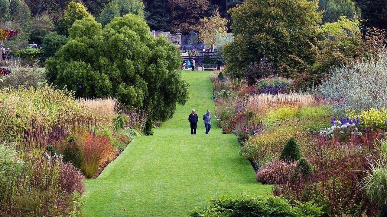 Photo of Others in Harrogate City Centre
