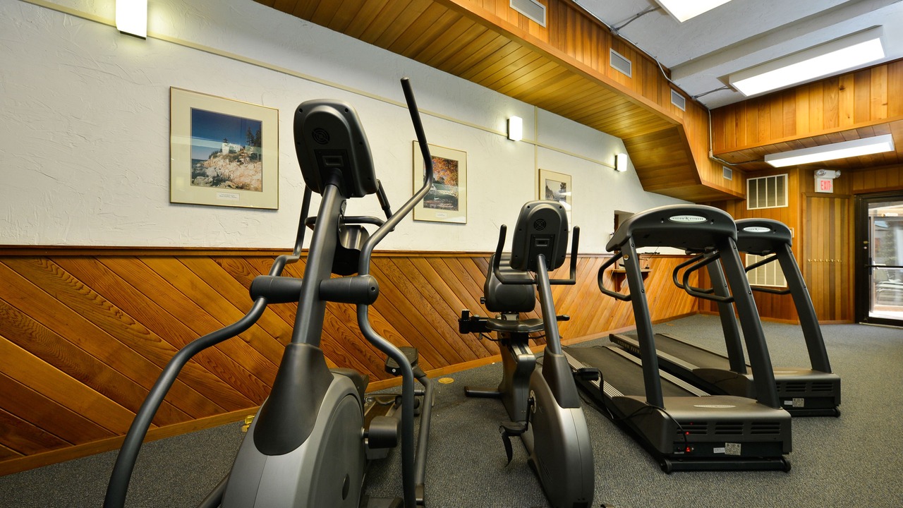 Photo of Others in Bar Harbor