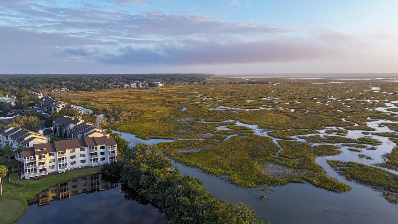 Photo of Outdoor in St. Simons Island