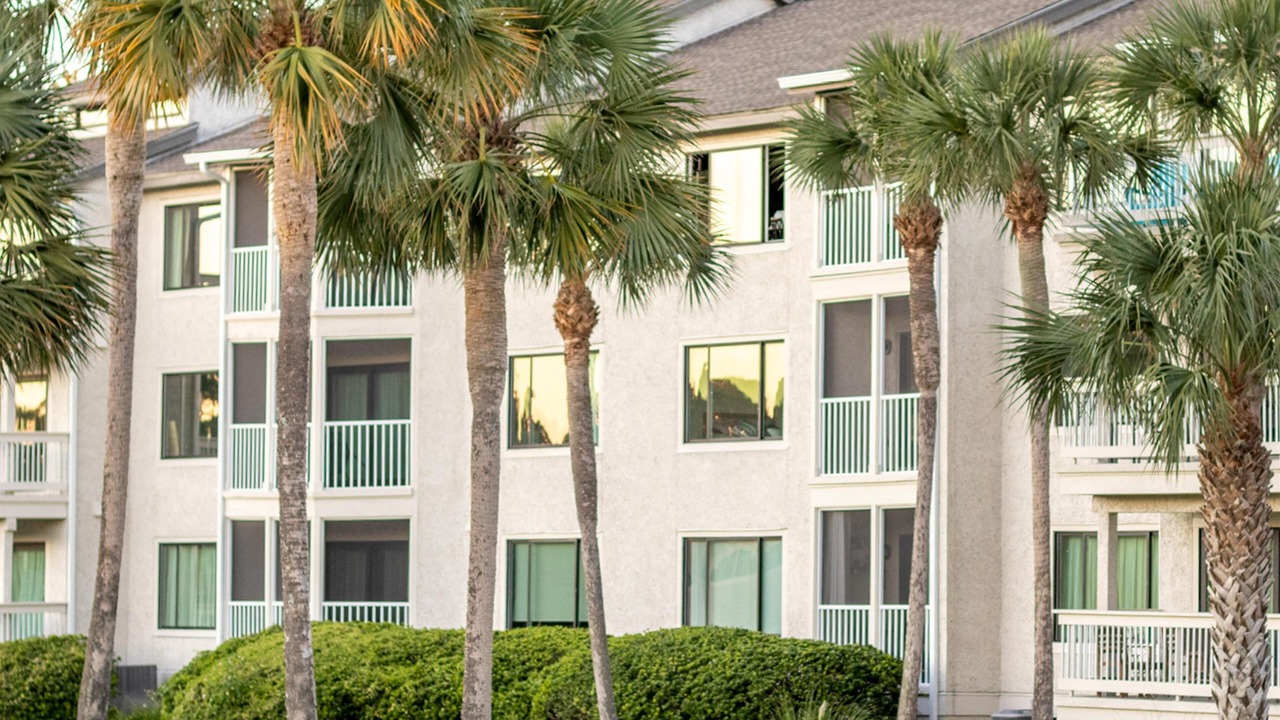Photo of Outdoor in St. Simons Island