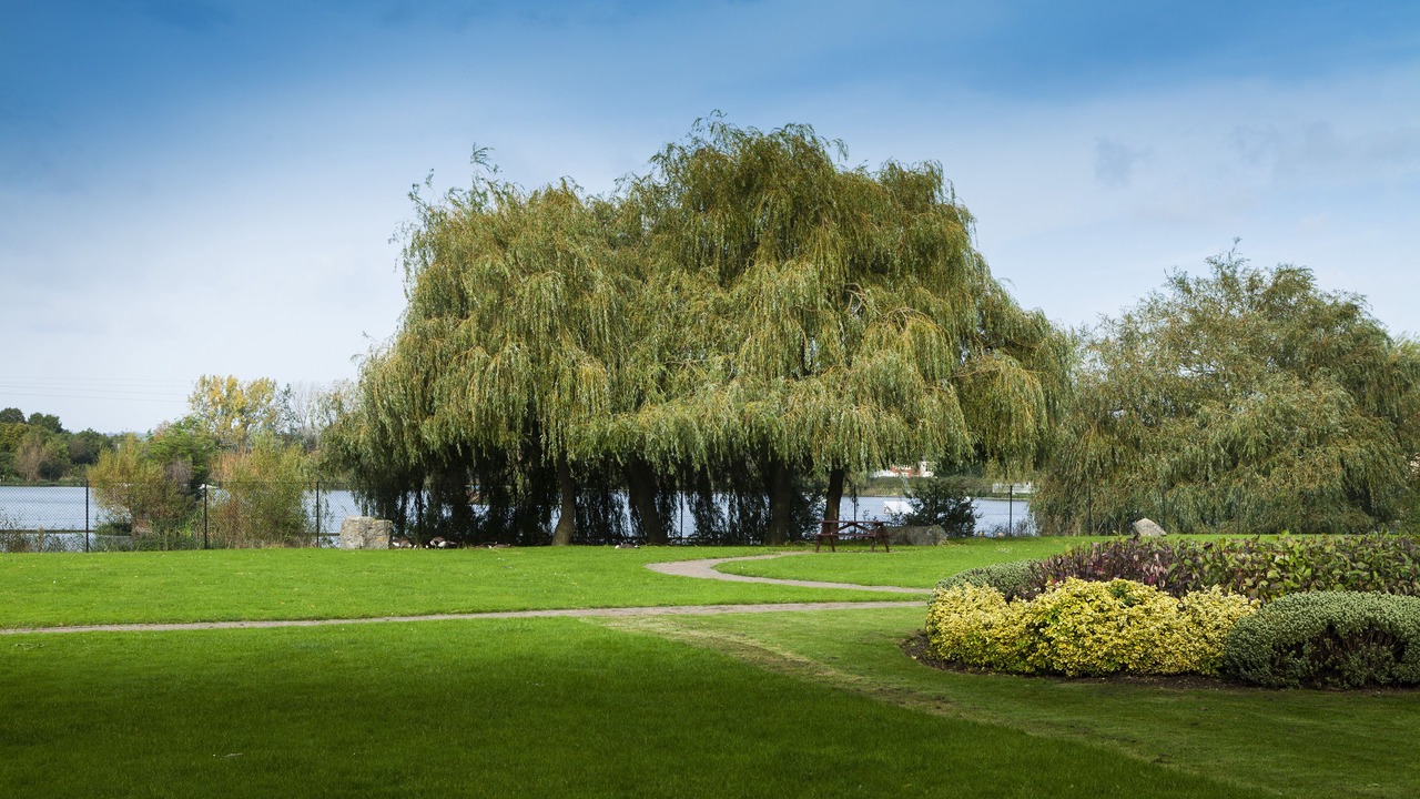 Photo of Outdoor in Basildon