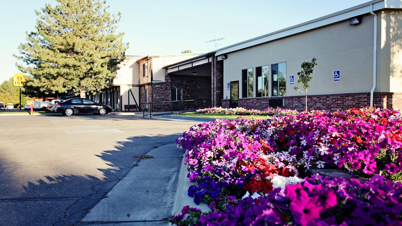 Photo of Outdoor in Price