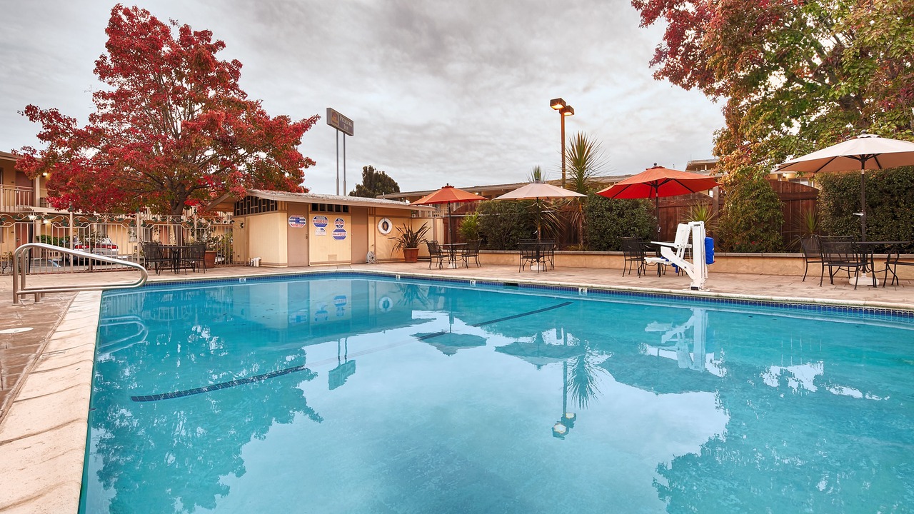 Photo of Others in Petaluma