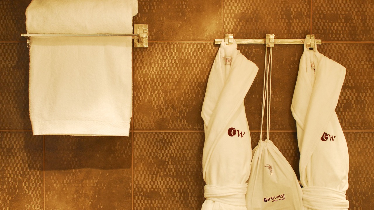 Photo of Bathroom in Paquis Navigation