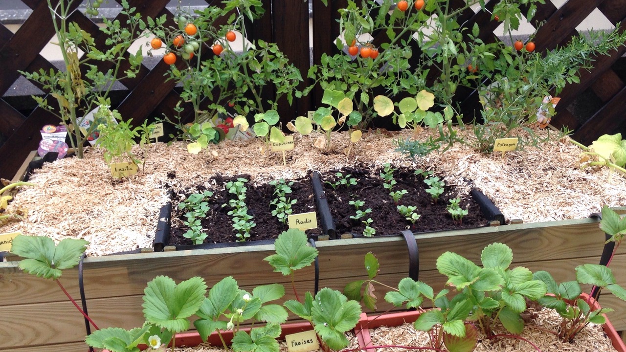 Photo of Patio Balcony in Montargis