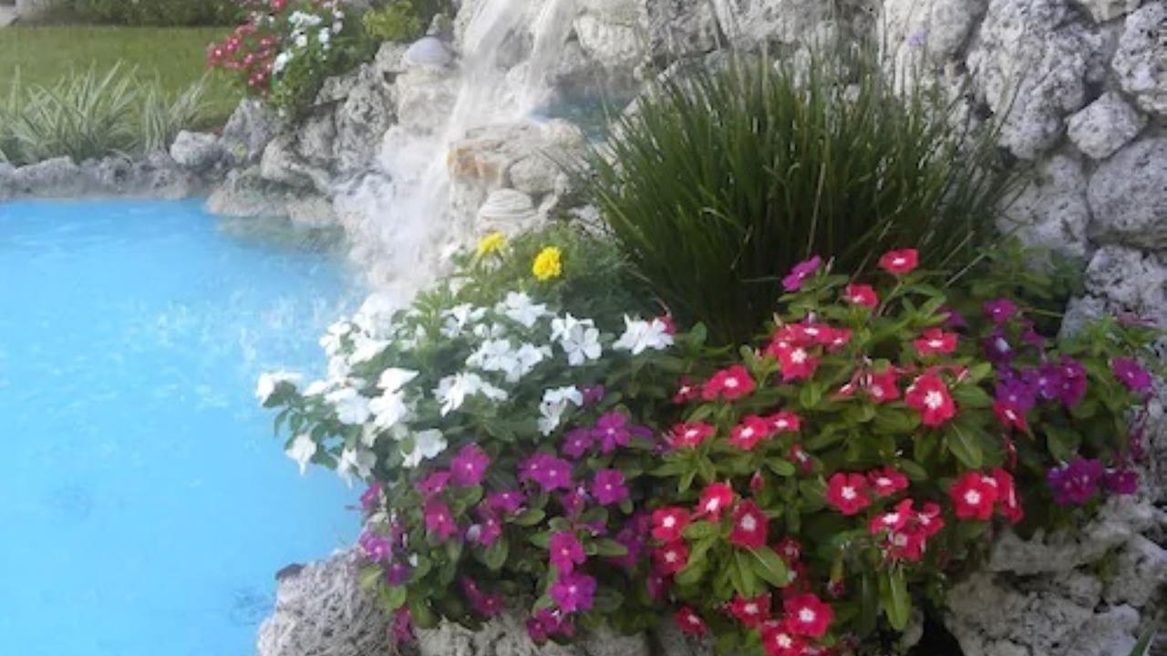 Photo of Outdoor in Venice Gardens