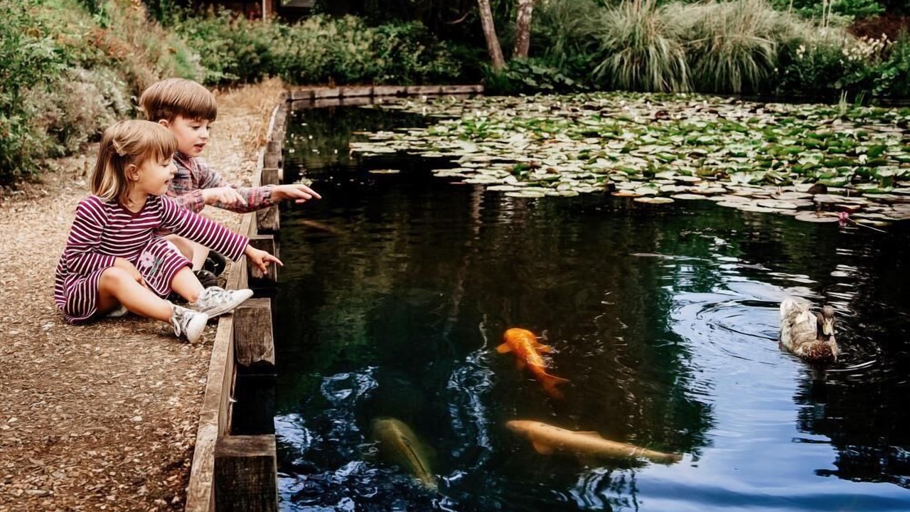 Photo of Outdoor in Hook