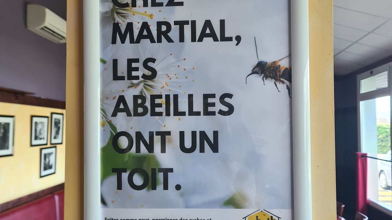 Photo of Others in Montauban