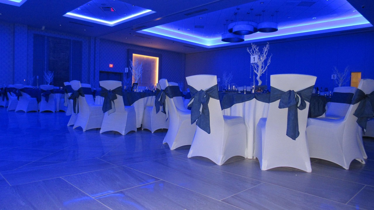 Photo of Others in Springfield