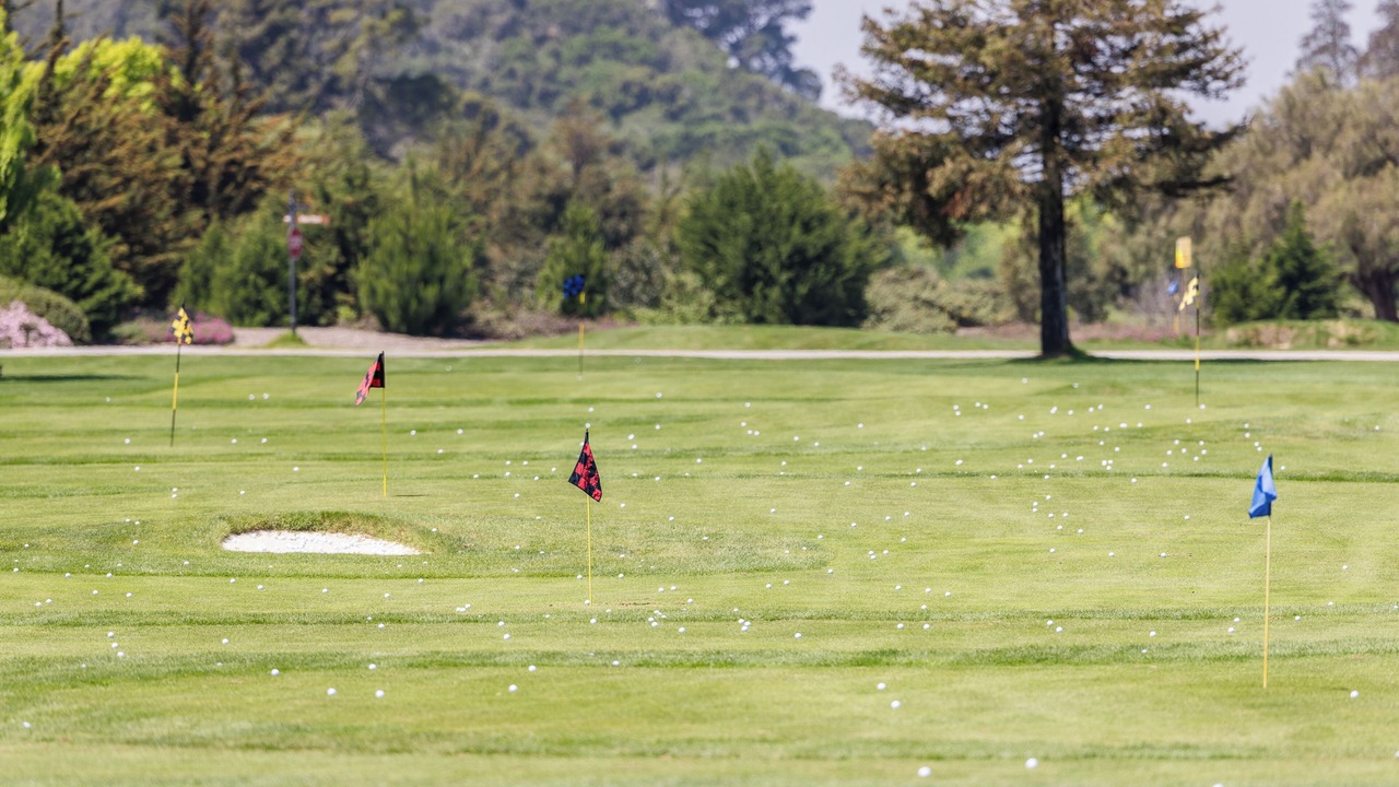 Photo of Others in Quail Lodge
