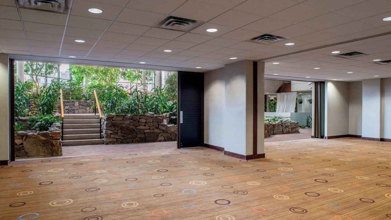 Photo of Others in Downtown St. John's