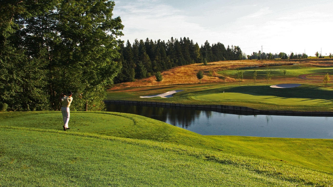 Photo of Others in Woodstock