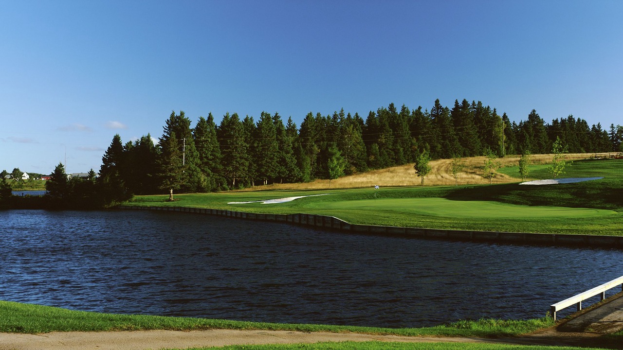 Photo of Others in Woodstock