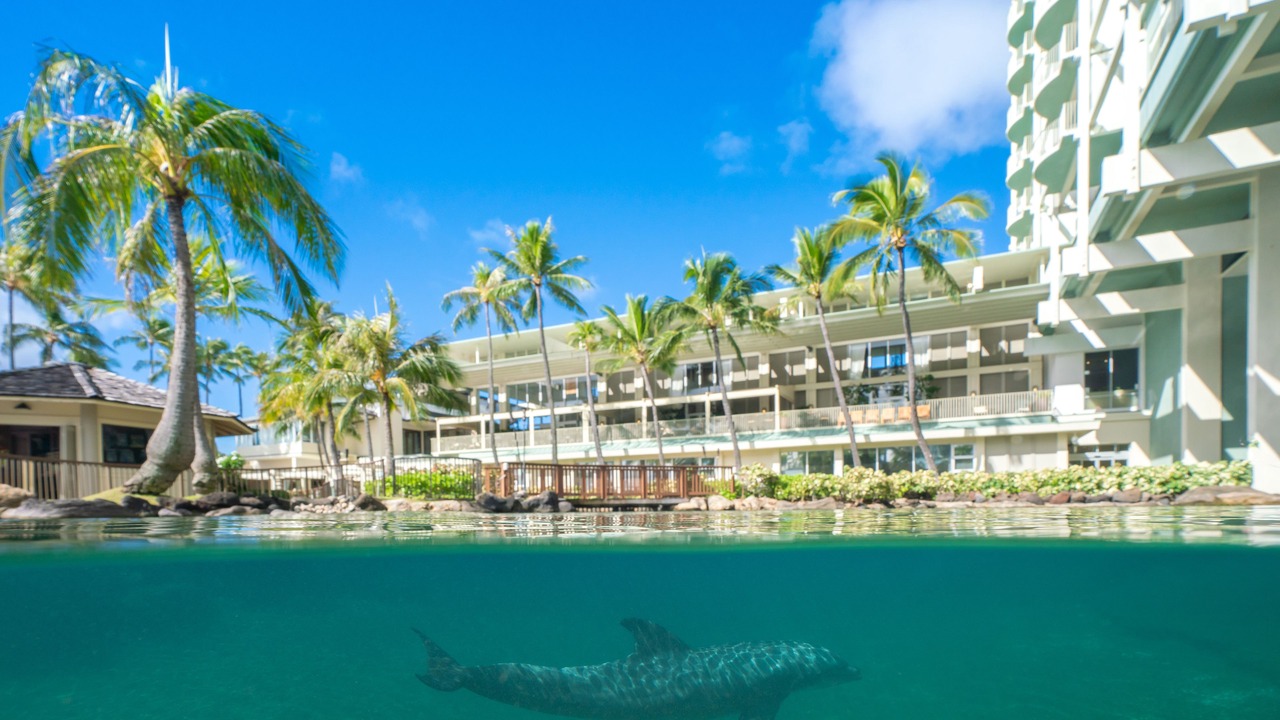 Photo of Others in Waialae Iki
