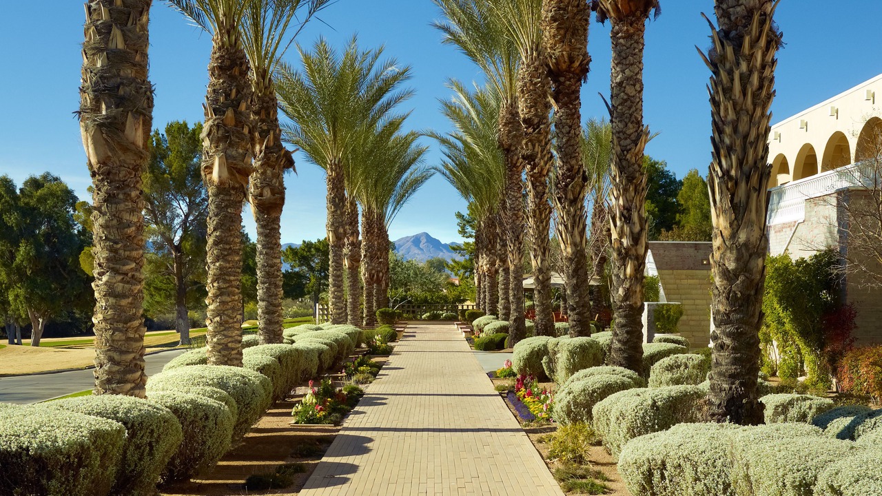 Photo of Outdoor in Casas Adobes
