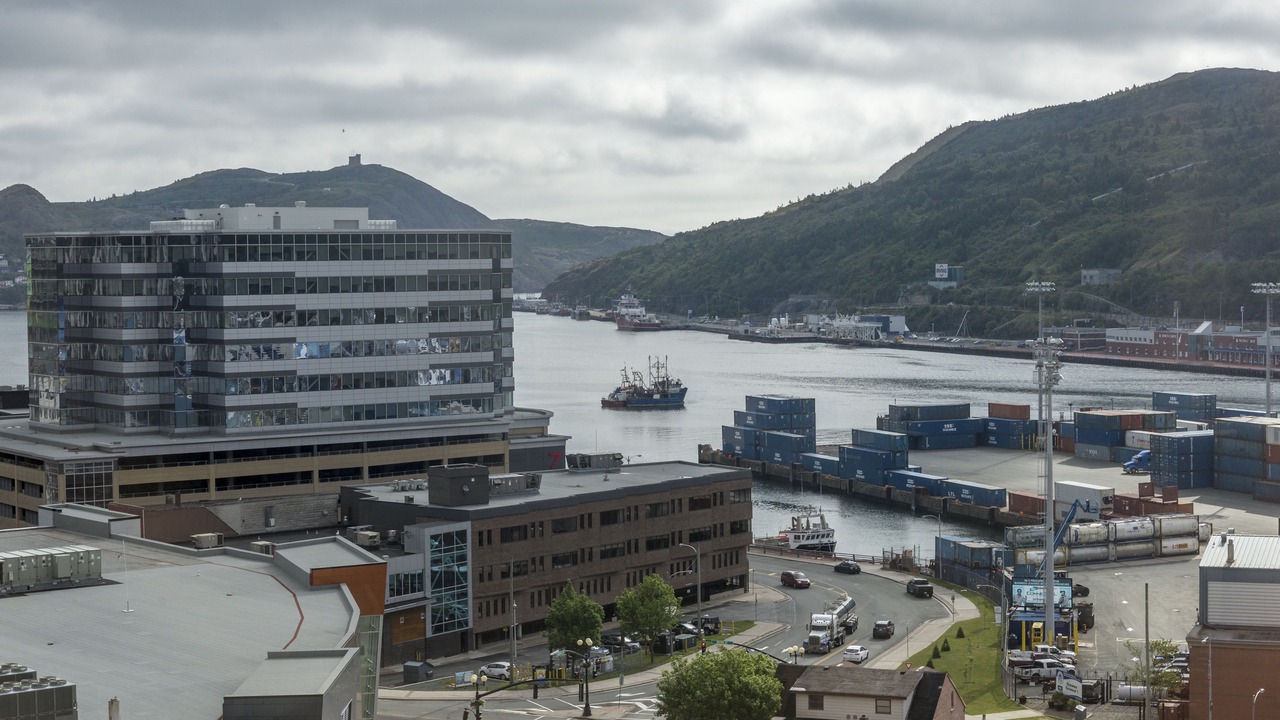 Photo of Others in Downtown St. John's