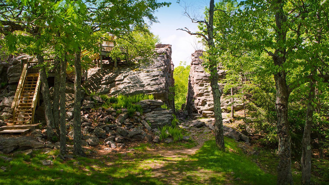 Photo of Outdoor in Lake Harmony