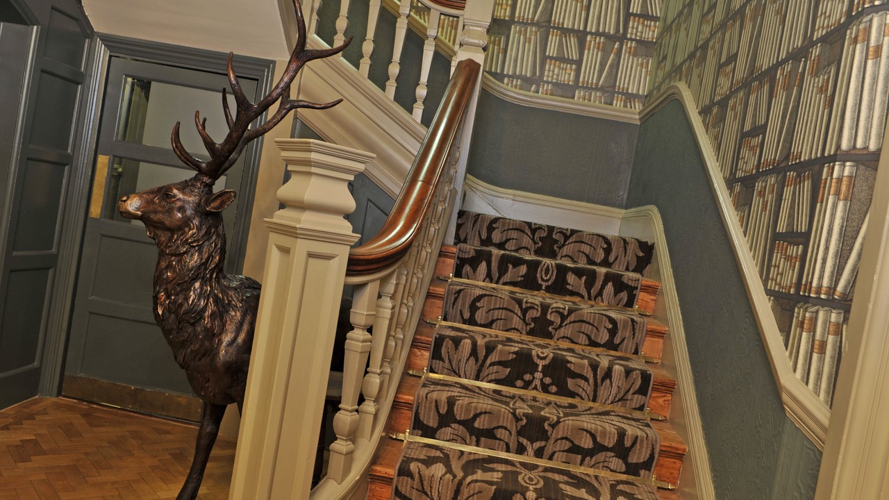 Photo of Others in New Forest District