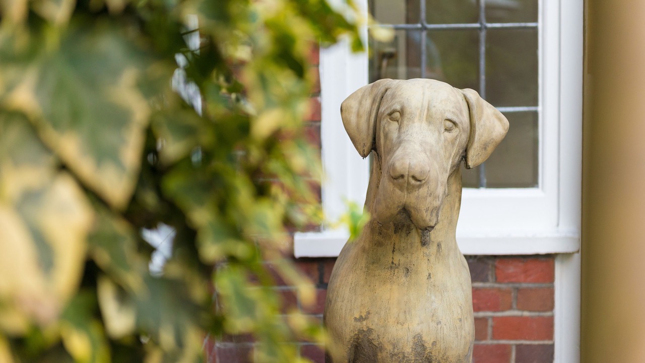 Photo of Patio Balcony in New Forest District