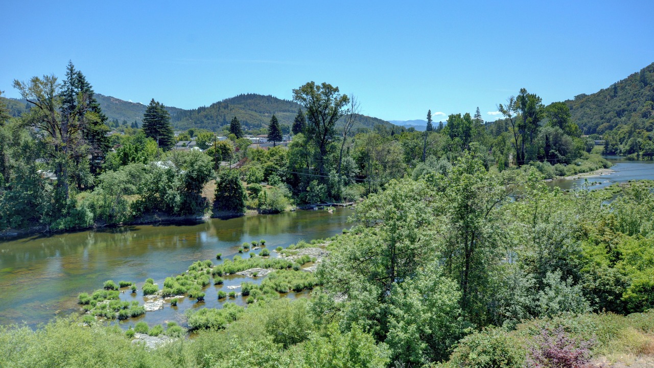 Photo of Others in Roseburg