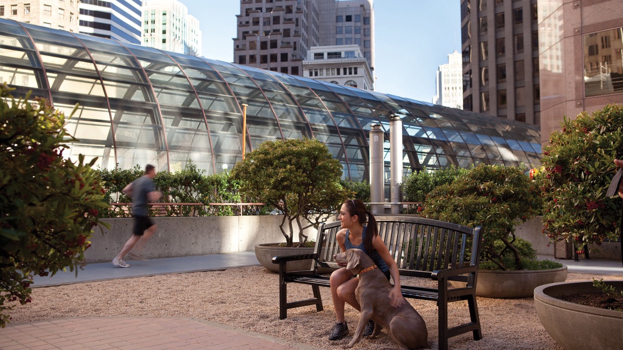 Photo of Outdoor in Financial District