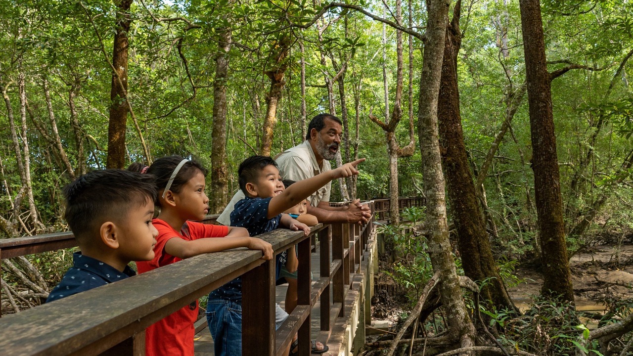 Photo of Outdoor in Padang Matsirat