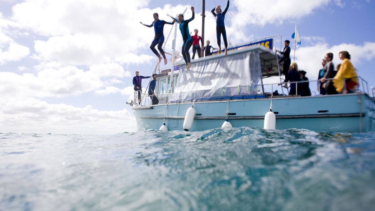 Photo of Others in Queenscliff