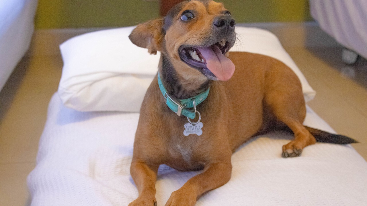 Photo of Bedroom in Eguia