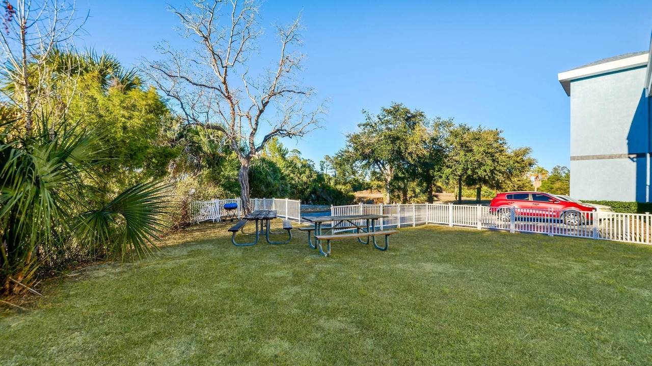 Photo of Outdoor in North Weeki Wachee