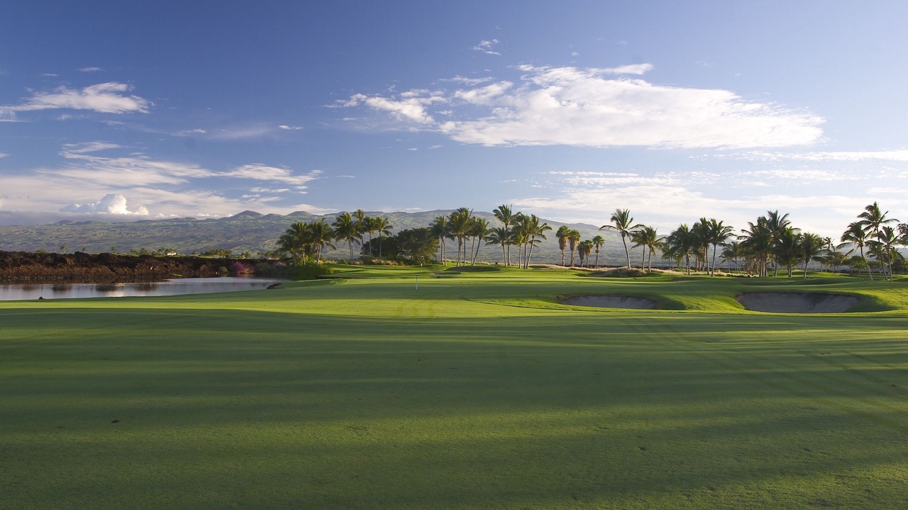 Photo of Others in Waikoloa