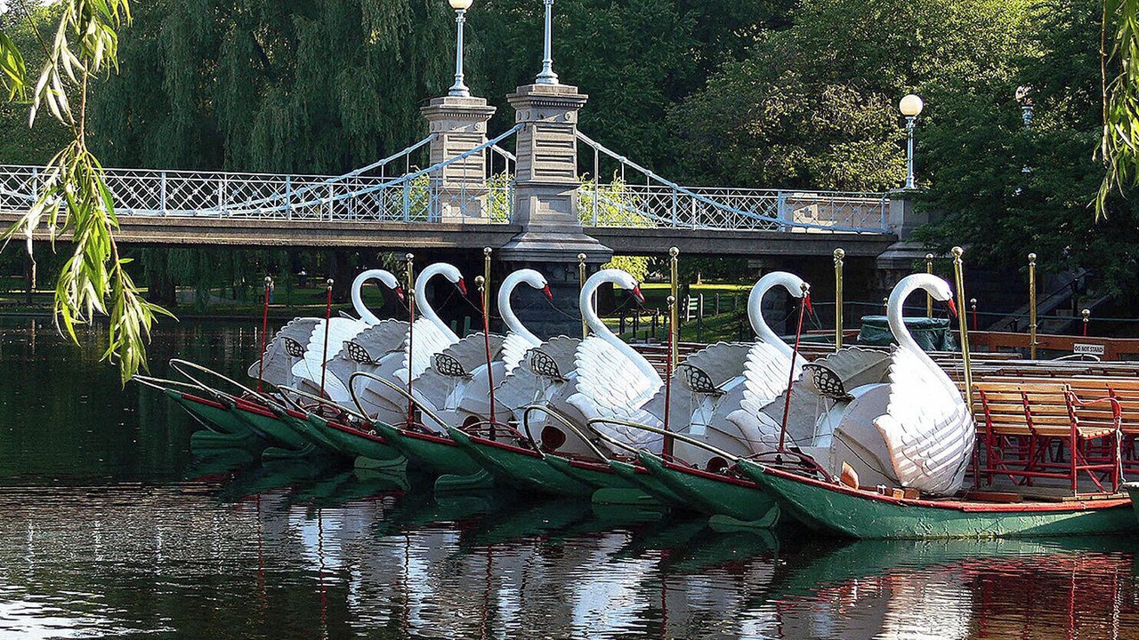 Photo of Others in Downtown Boston