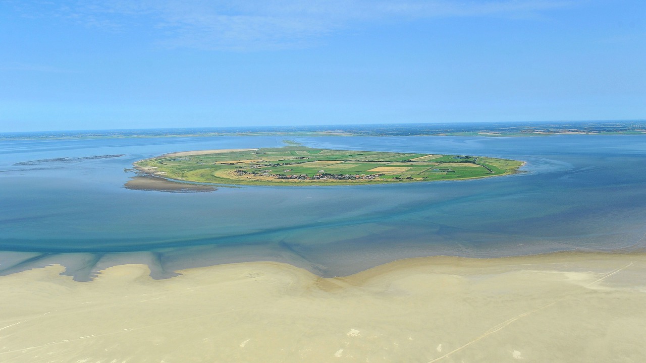 Photo of Others in Ribe