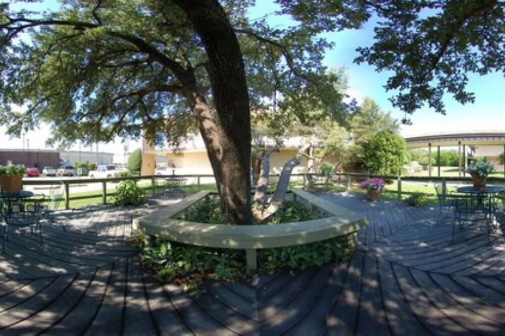 Photo of Outdoor in Ennis