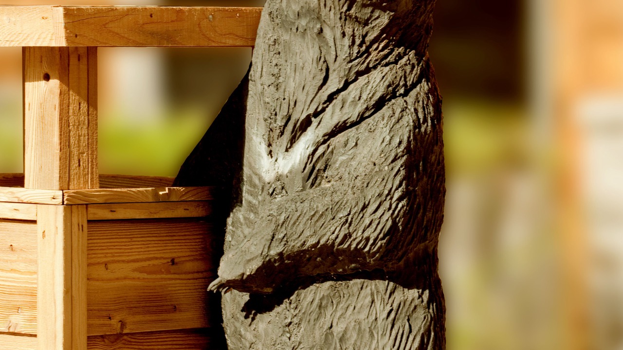 Photo of Outdoor in Jackson