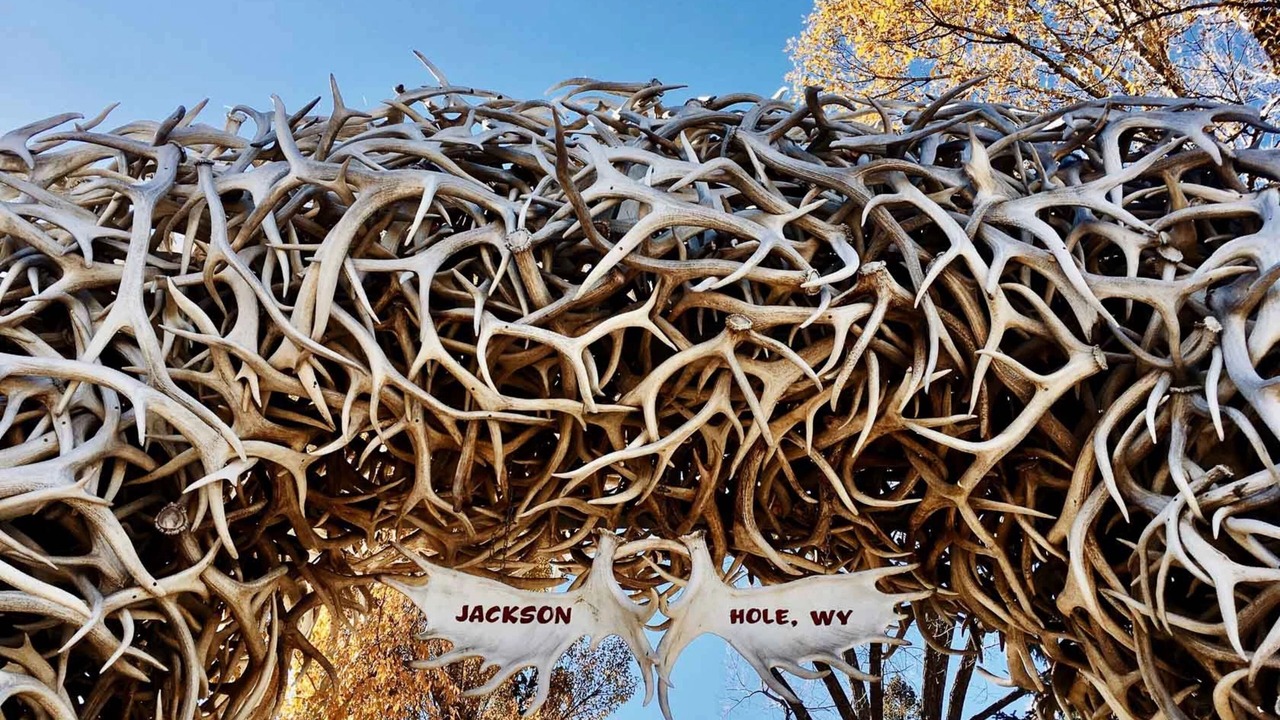 Photo of Outdoor in Jackson