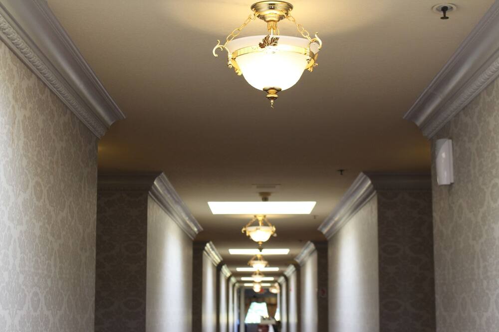 Photo of Others in Campbell