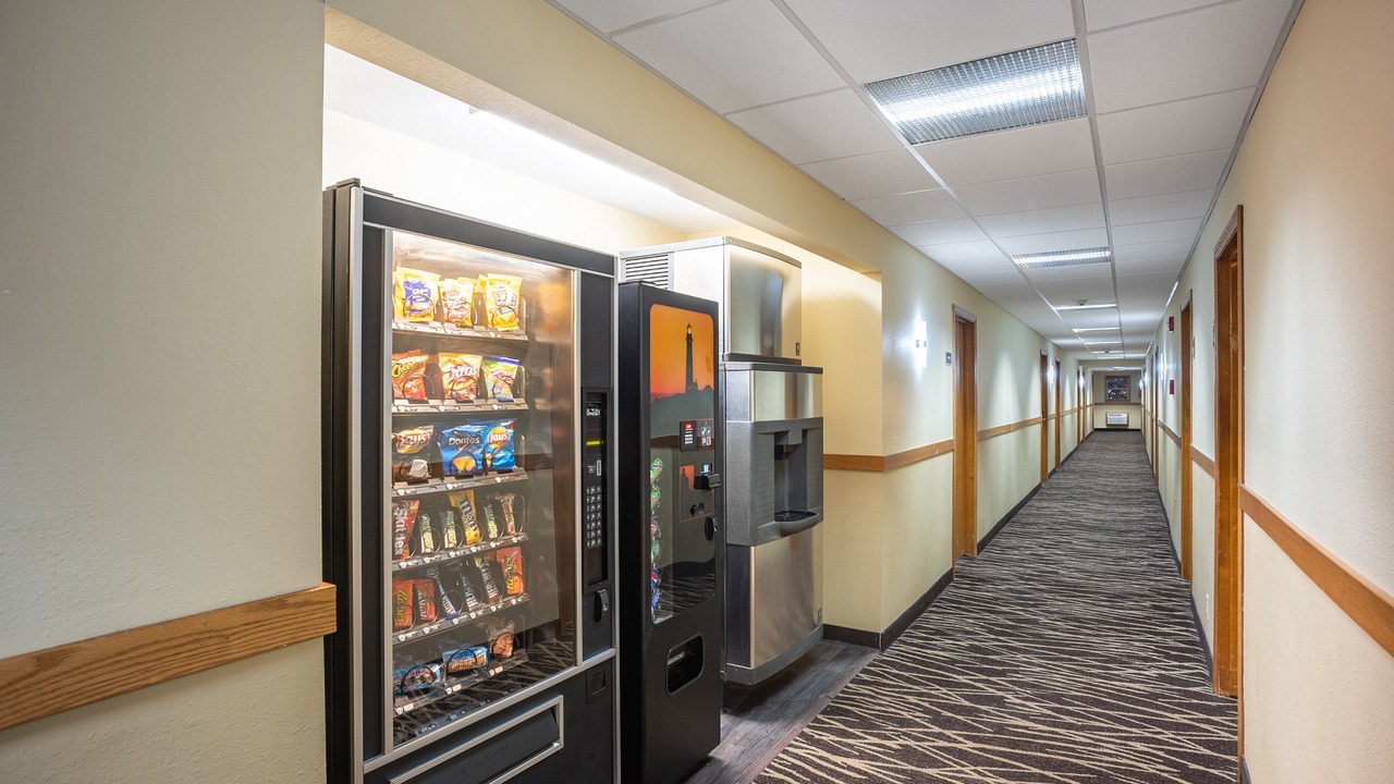 Photo of Others in Berwick