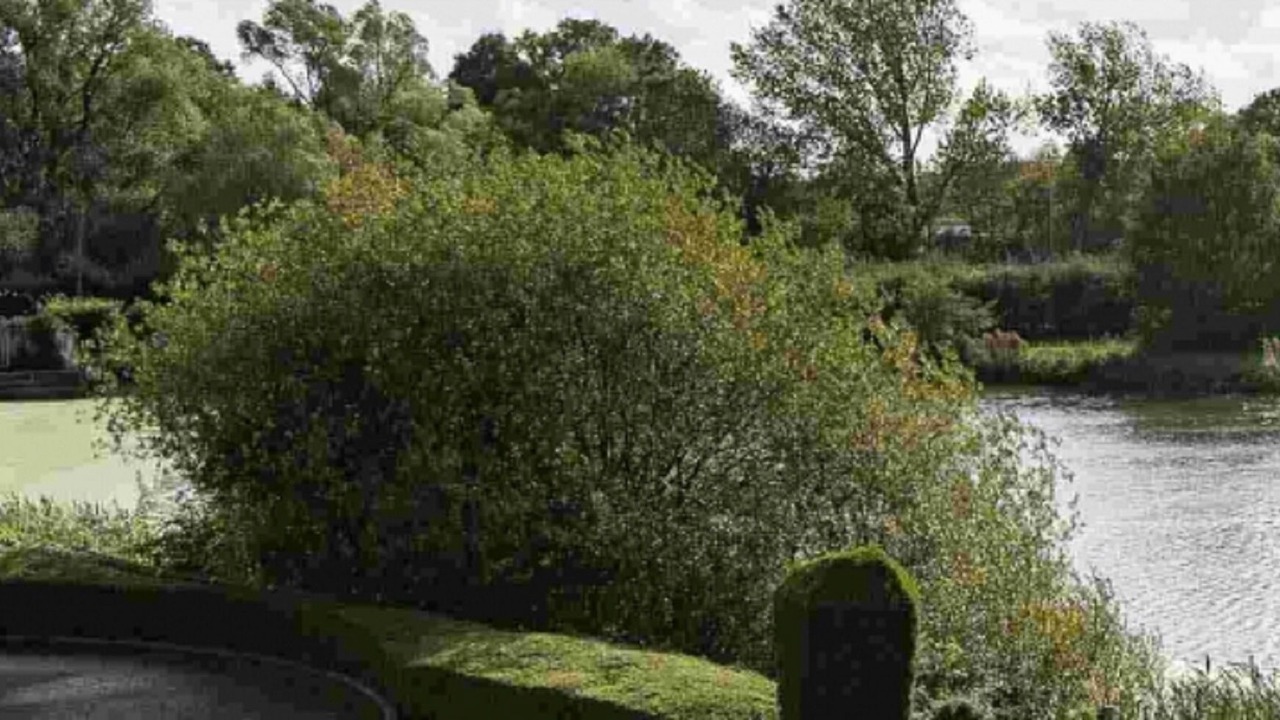 Photo of Outdoor in Colchester