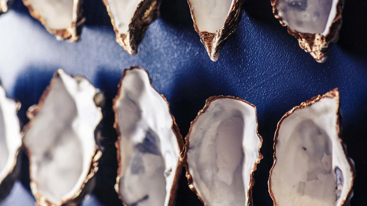 Photo of Others in Llansamlet