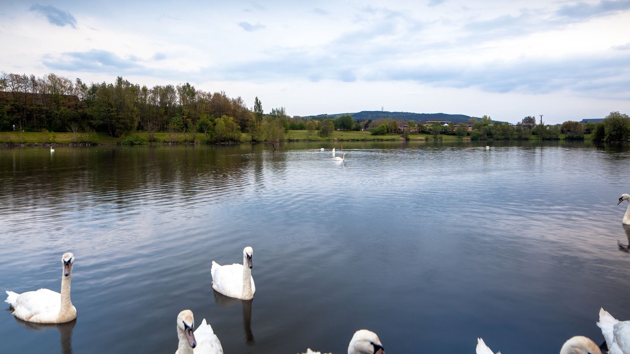 Photo of Others in Llansamlet