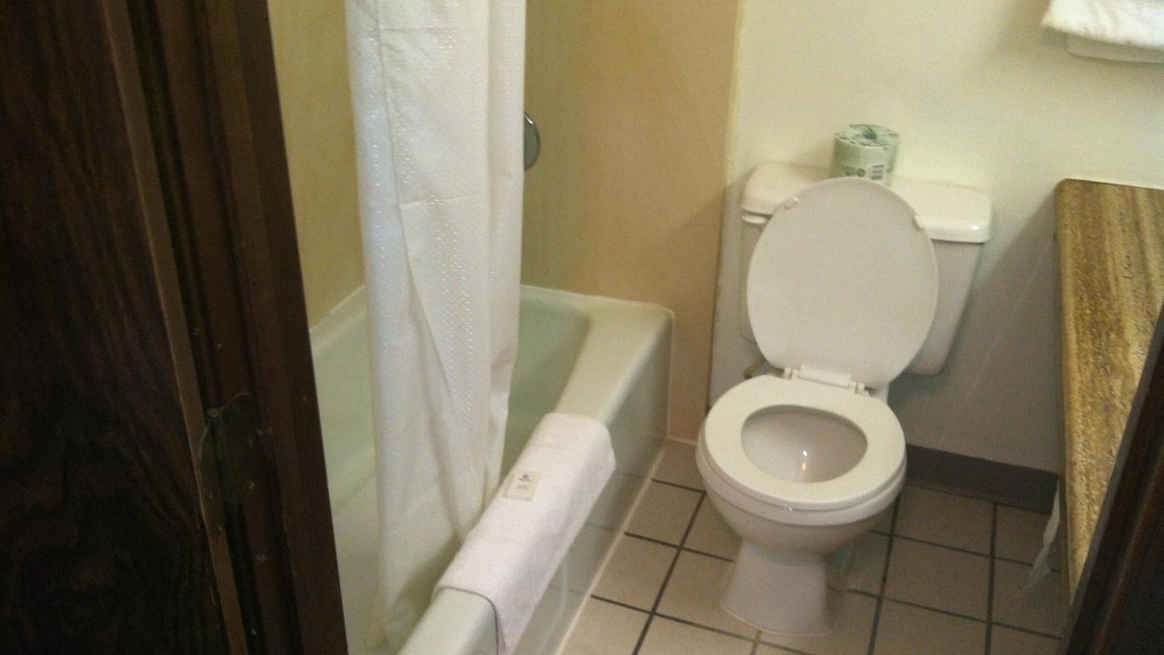 Photo of Others in Mansfield