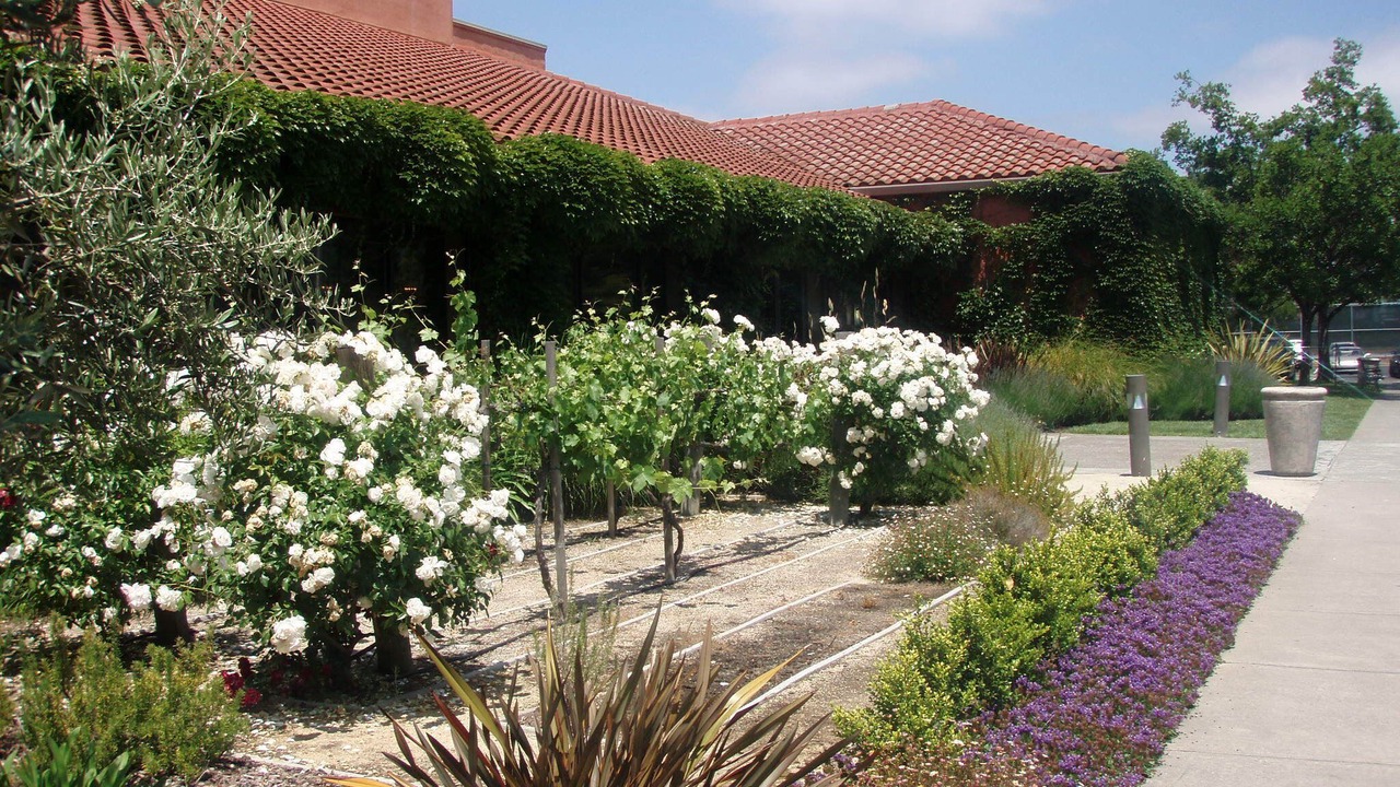 Photo of Outdoor in Rohnert Park