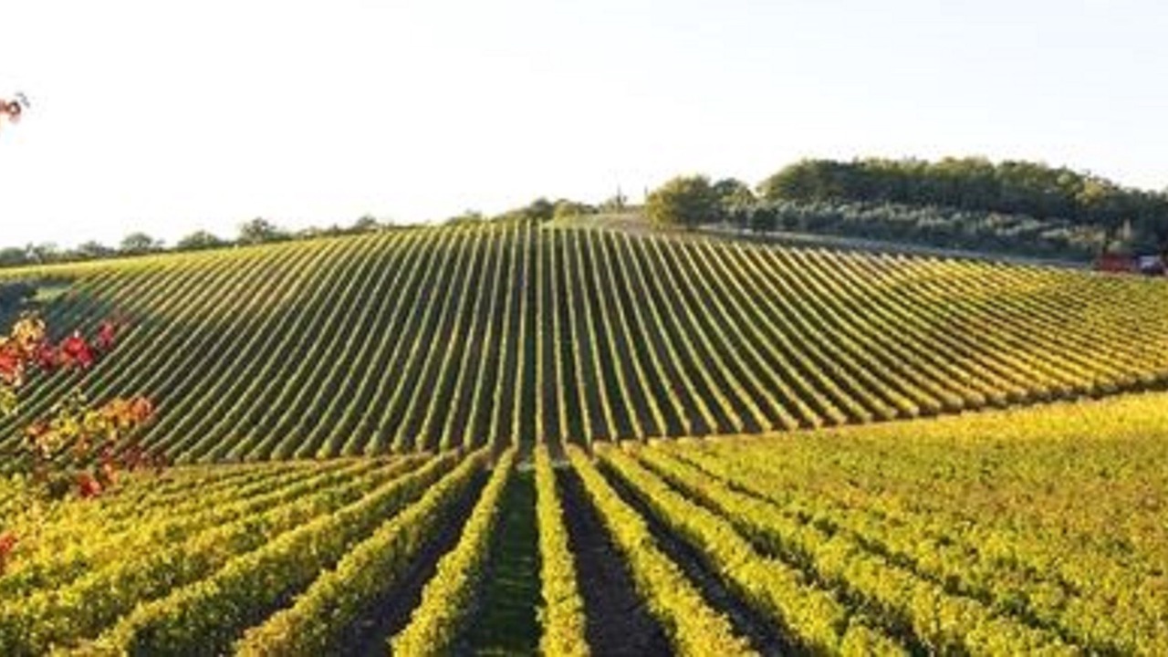 Photo of Outdoor in Rohnert Park