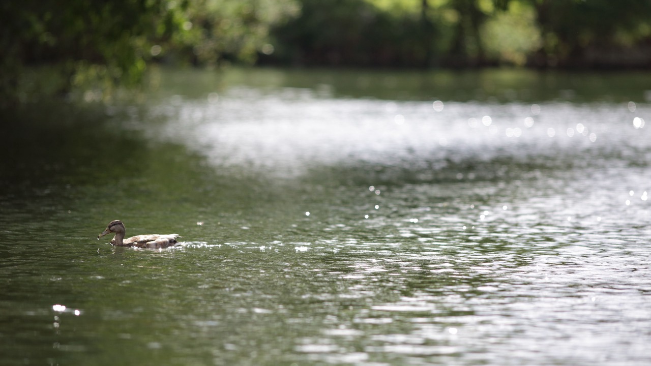 Photo of Outdoor in Runnymede