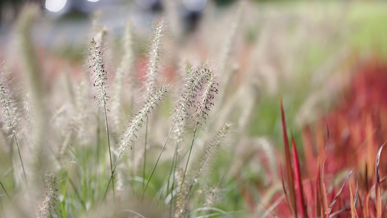 Photo of Outdoor in Runnymede