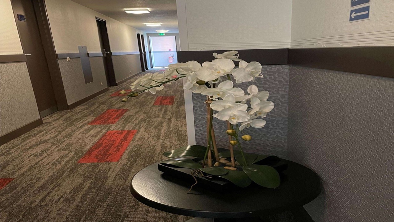 Photo of Others in Limoges